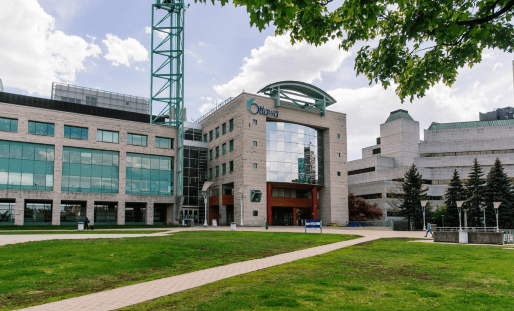 City staff: no to no right turns on&nbsp;red